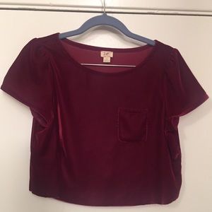 Red velvet crop top